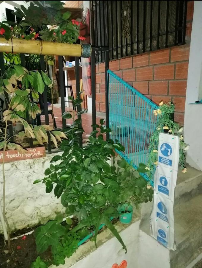Casa Chill Out Hotel Minca Bagian luar foto